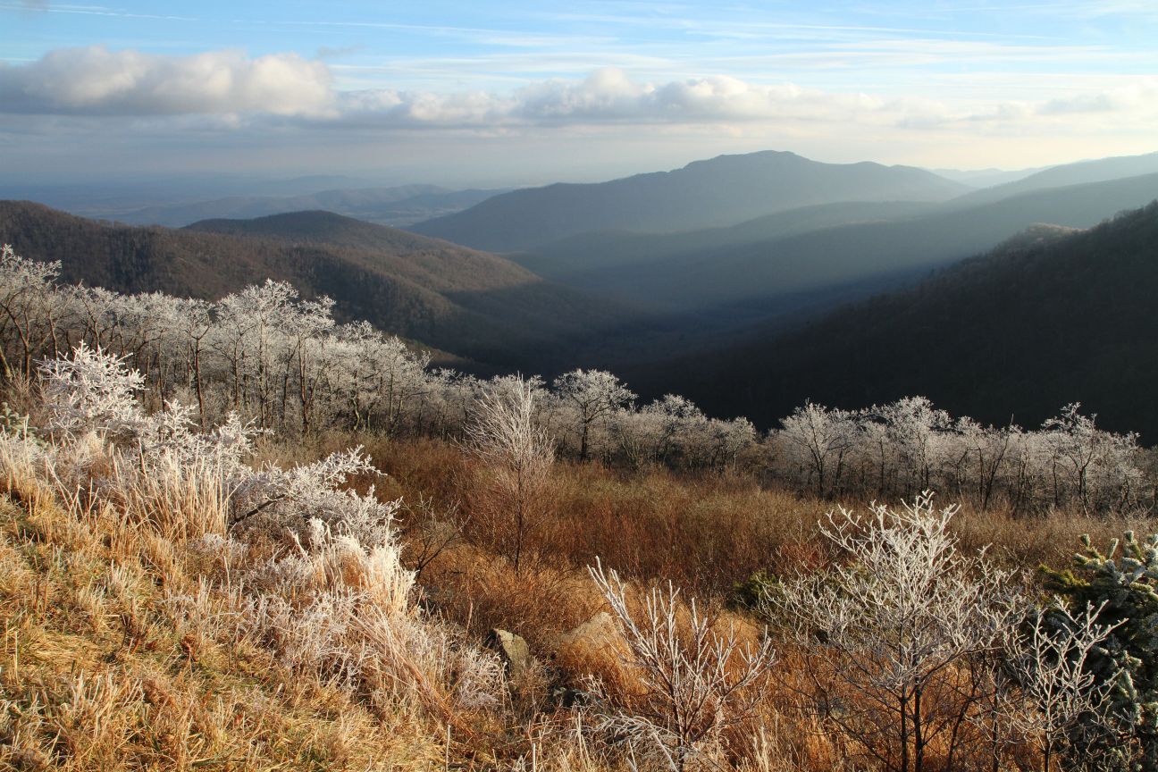 2015 Virginia Vistas: Best in Show "Pinnacles Overlook Winter"